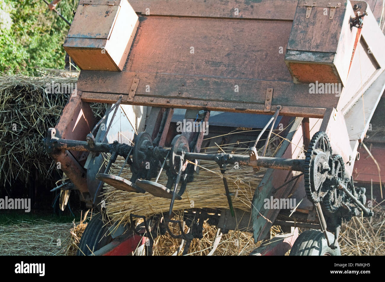 Sussex, musée, récolter une batteuse entraînée par un moteur de traction à vapeur, la paille qui sort Banque D'Images