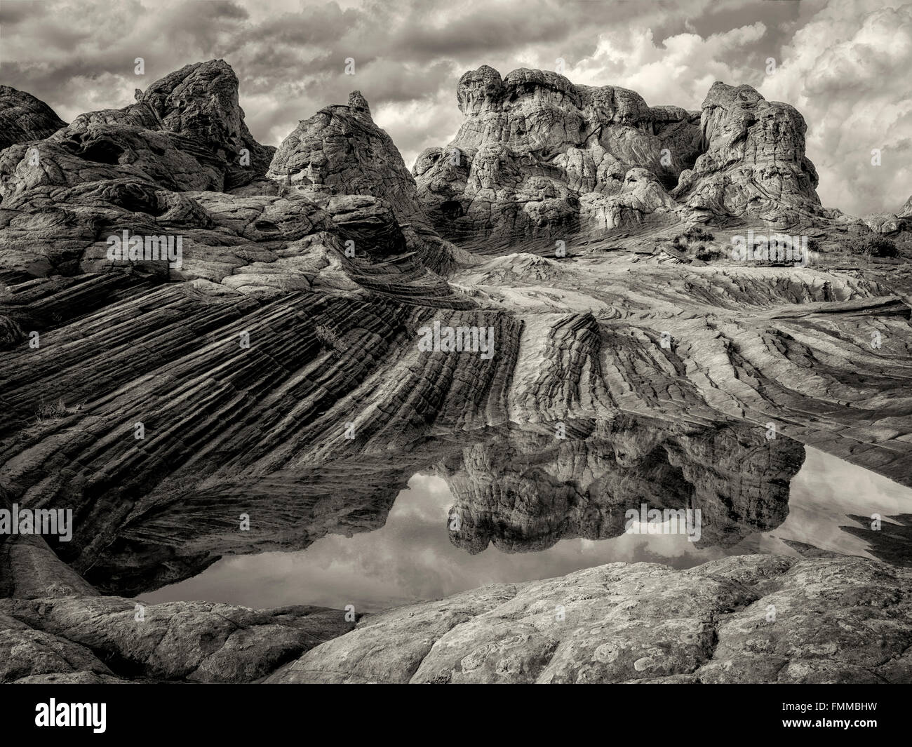 Pocket blanc avec l'eau de pluie piscines. Vermilion Cliffs National Monument, Arizona Banque D'Images
