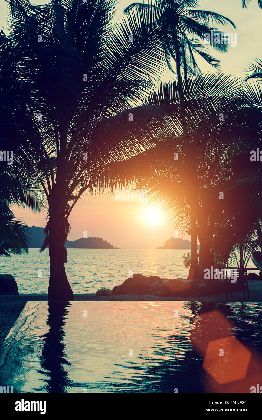 Magnifique coucher de soleil sur la plage avec des palmiers. Banque D'Images