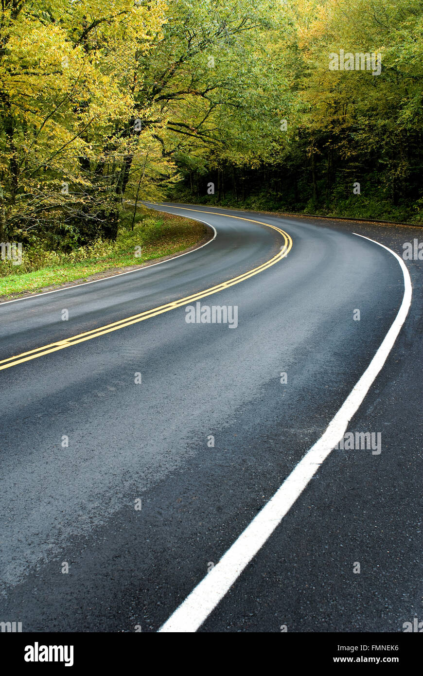 Smoky Mountains Road au début de l'automne Banque D'Images