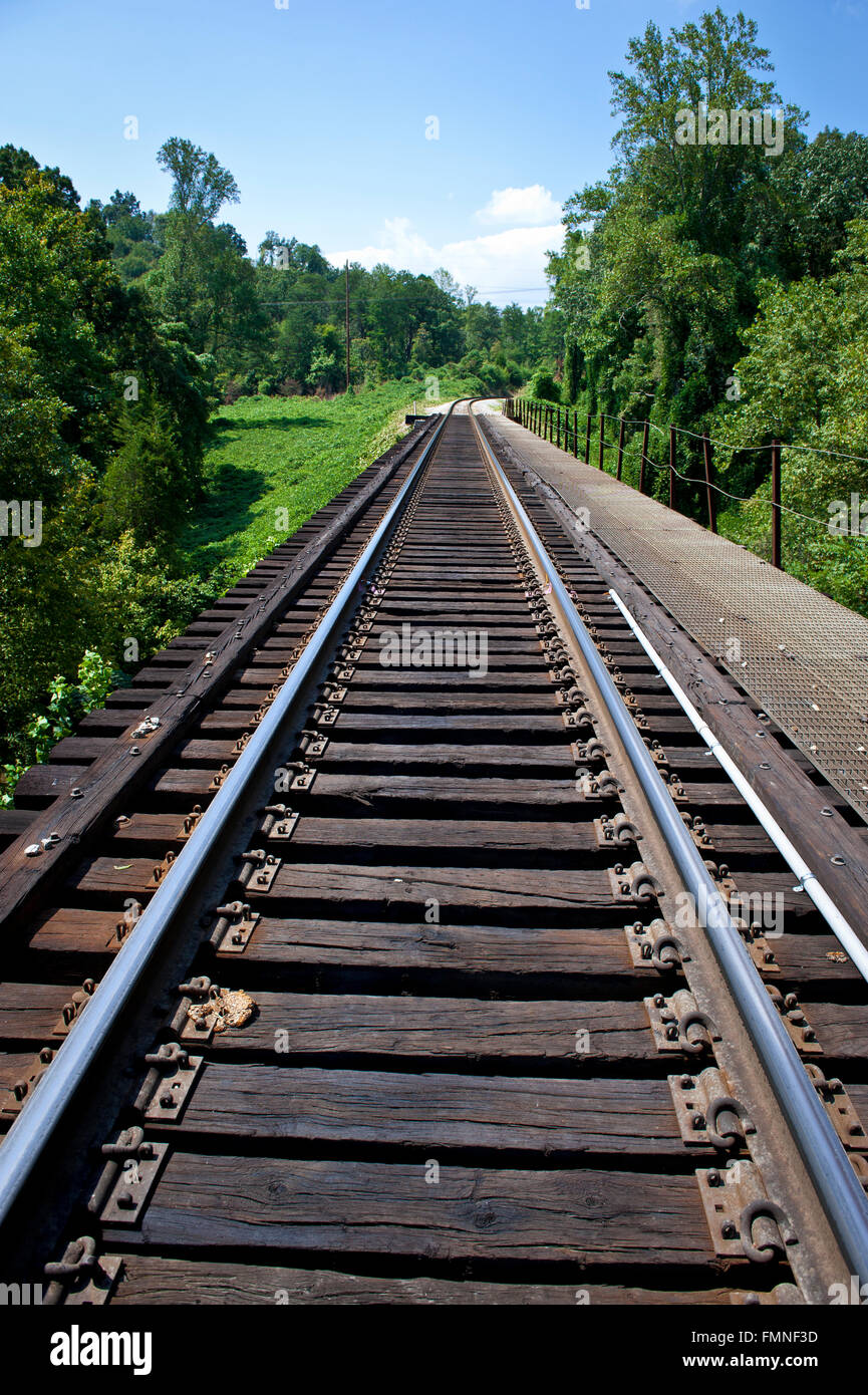 Les voies ferrées à travers Indiana Forest Banque D'Images