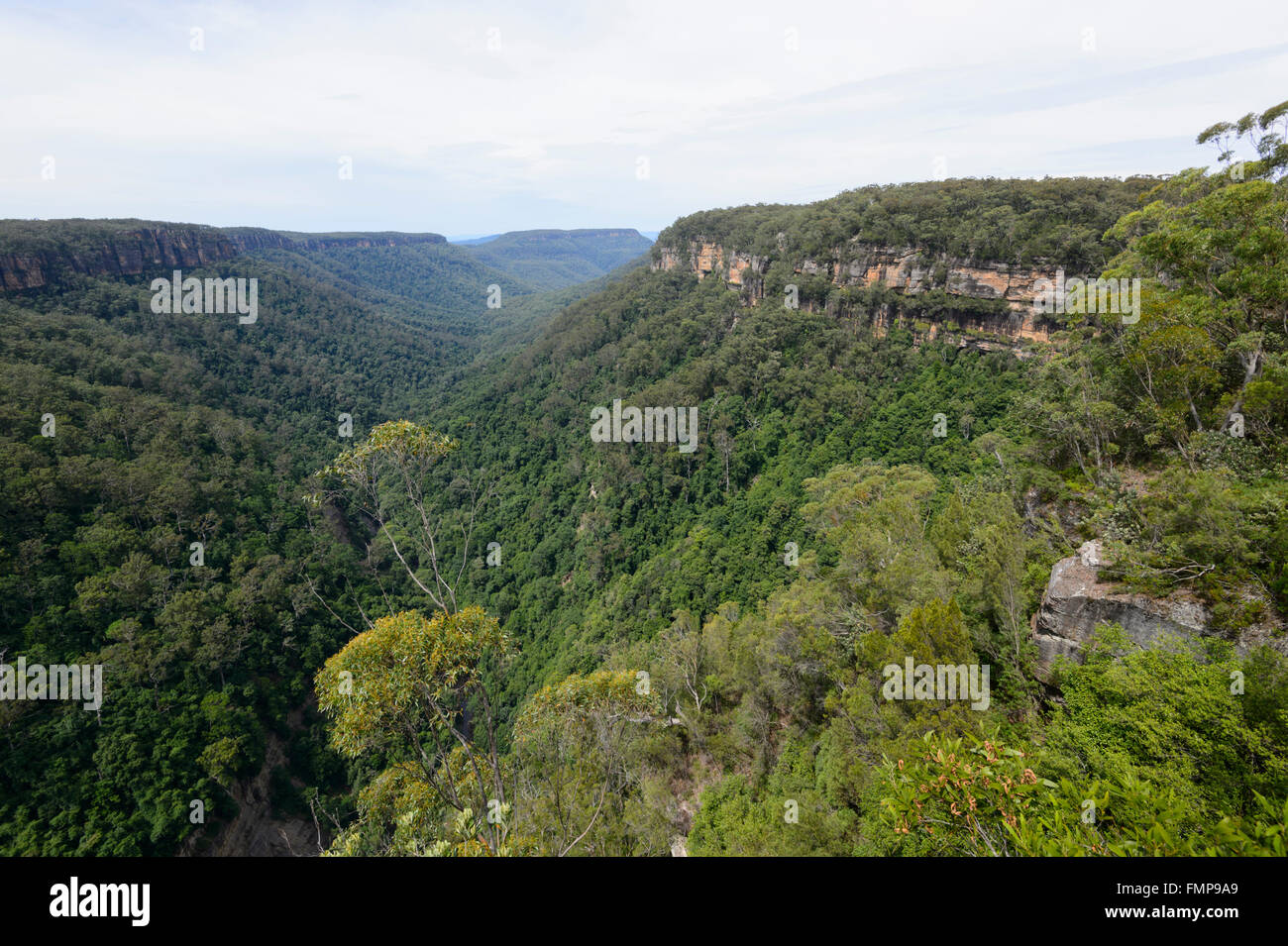 Le Parc National de Morton, New South Wales, Australie Banque D'Images