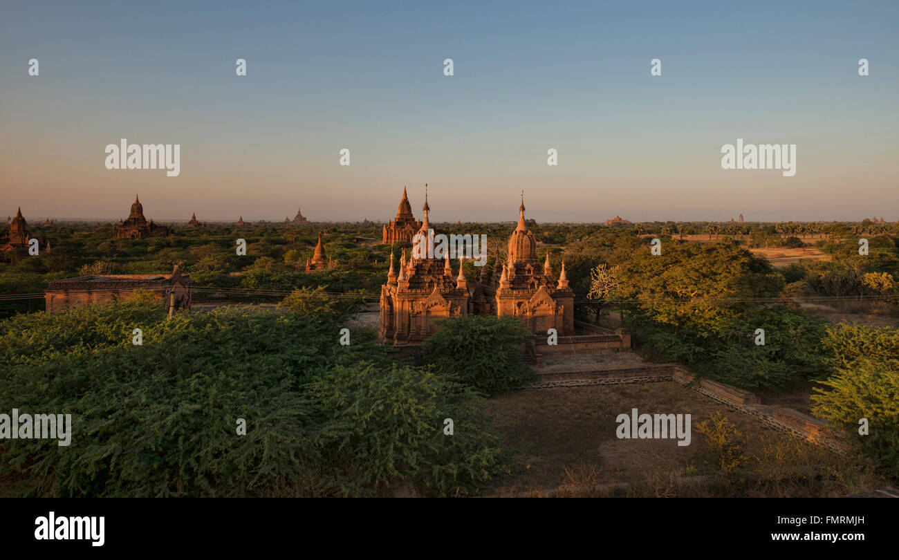 Temples en fin d'après-midi, lumière, Bagan, Myanmar Banque D'Images