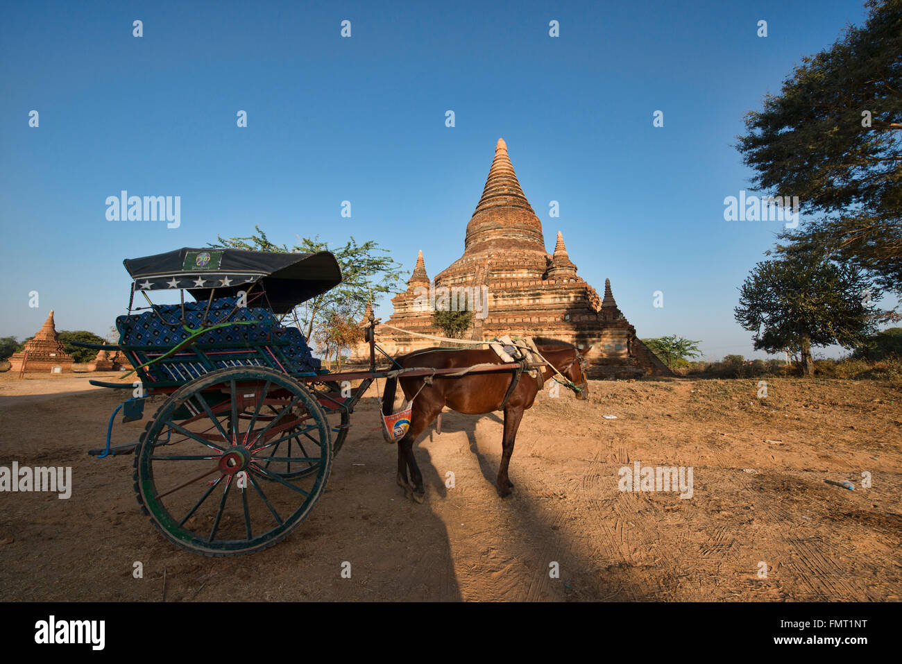 Panier cheval devant un temple, Bagan, Myanmar Banque D'Images