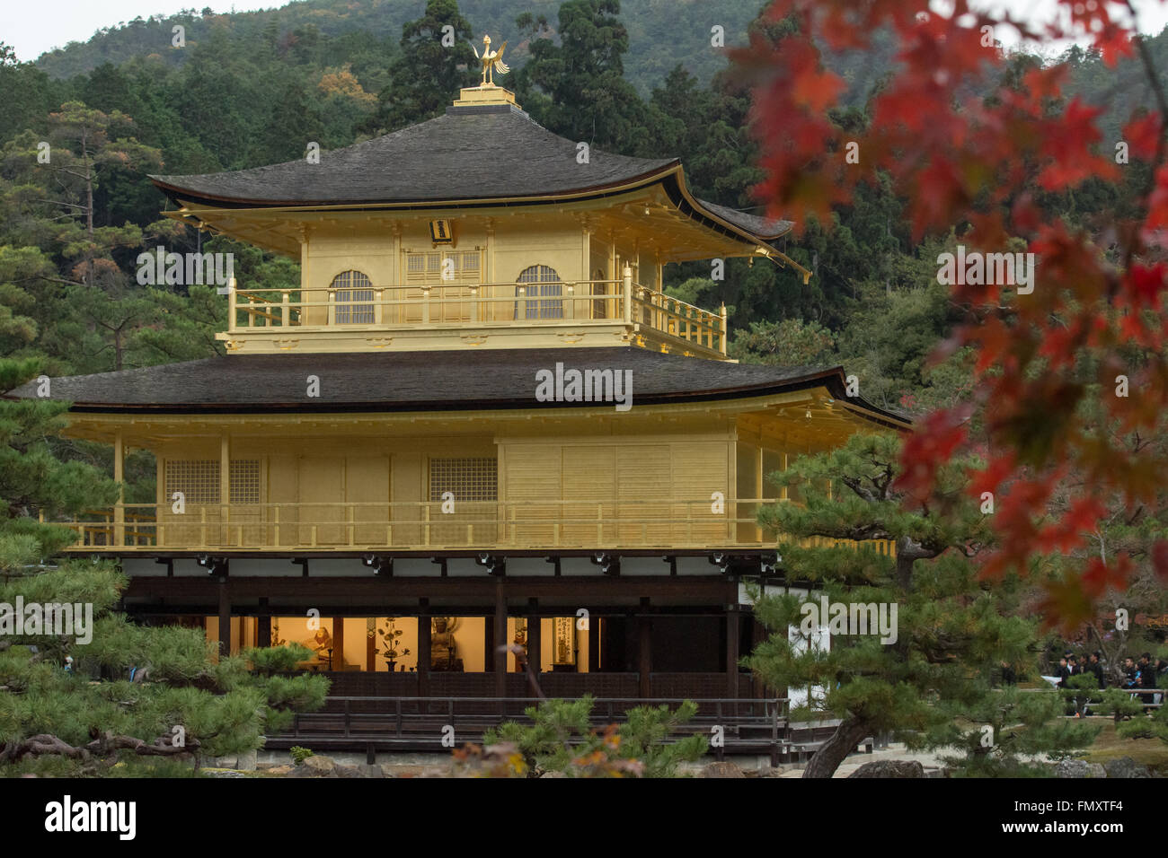 Le pavillon d'or (Kinkaku-ji) à Kyoto, Japon. Banque D'Images