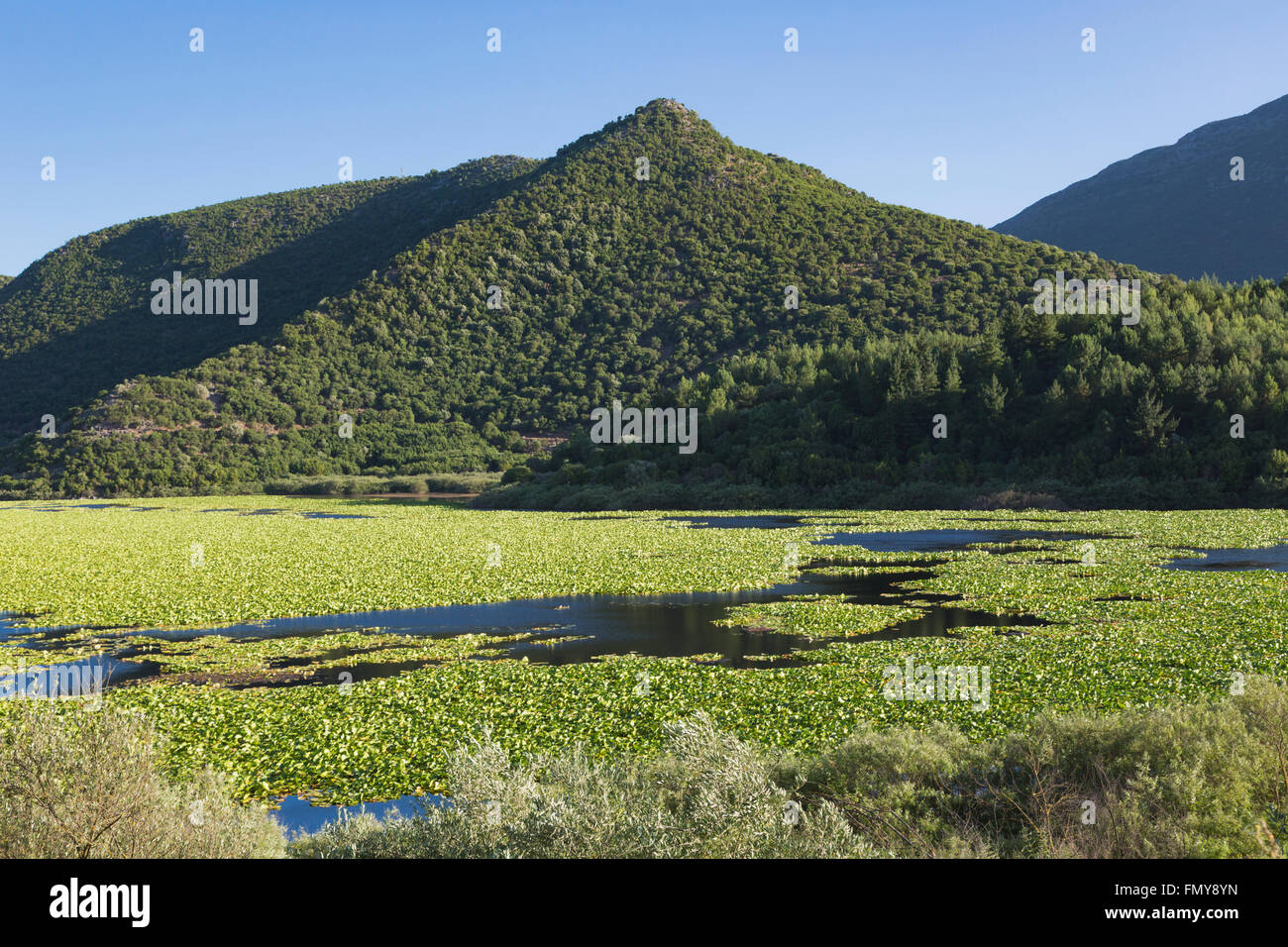 Kalodikiou Kalodiki ou Lake, près de Parga, l'Épire, Grèce. Kalodikiou on surnomme le lac d'eau Lillies. Banque D'Images