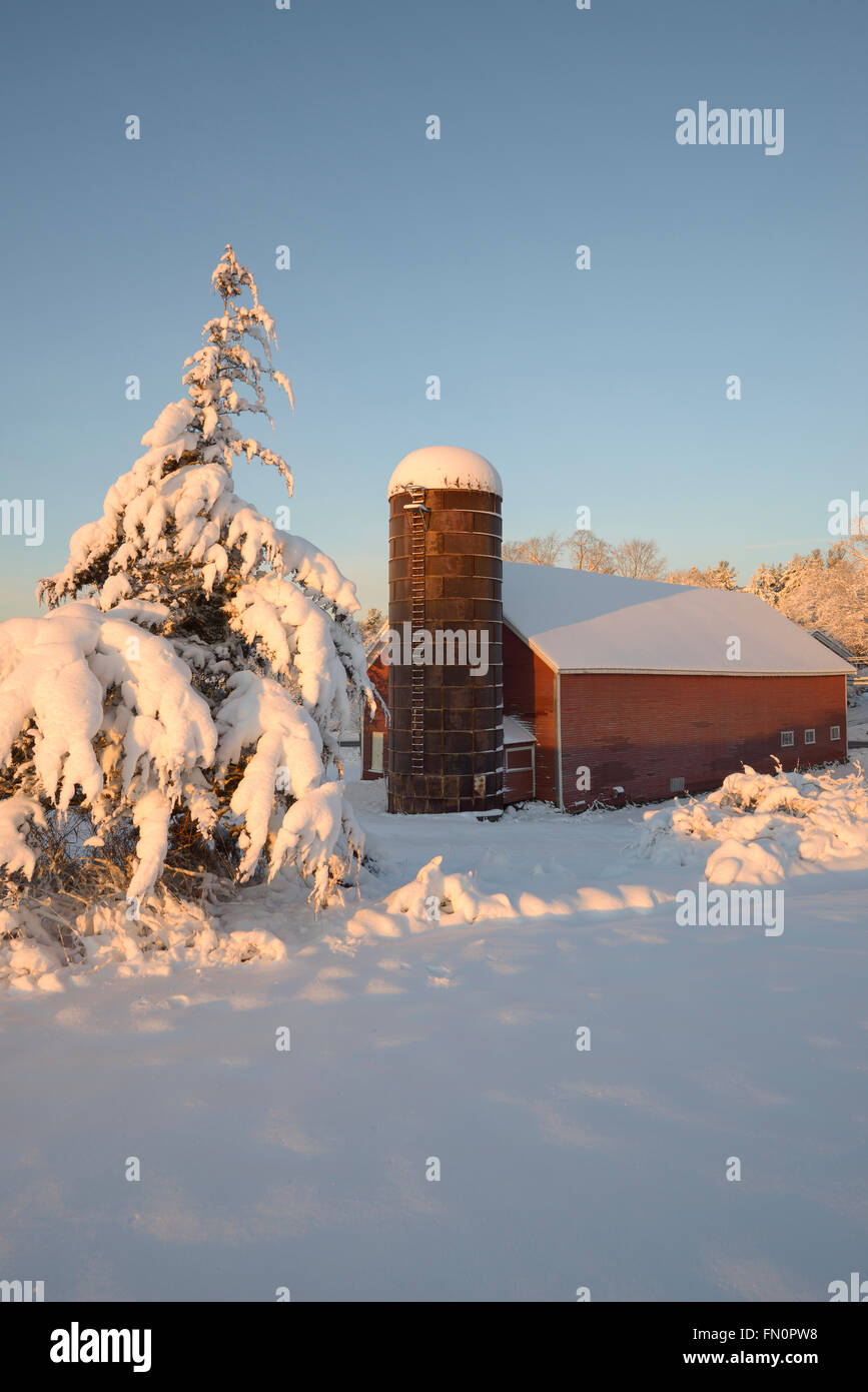 Après tempête de neige ferme Raynes, Exeter, New Hampshire, hiver Banque D'Images