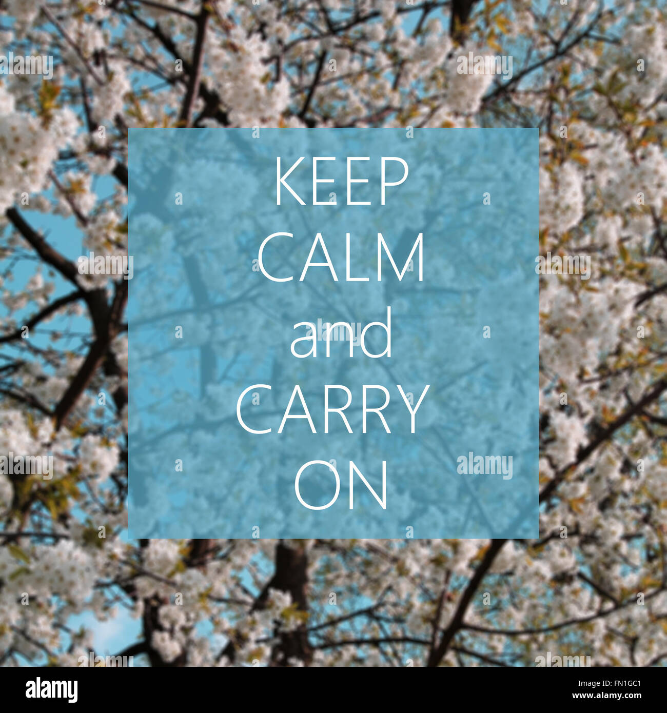 Keep calm and carry on text avec des fleurs blanches à l'arrière-plan Banque D'Images