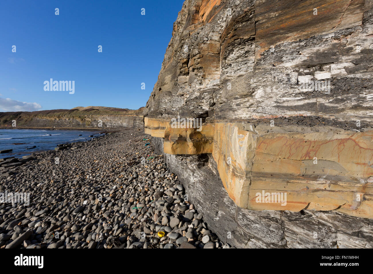 Géologie falaise de Kimmeridge Bay ; ; ; Dorset UK Banque D'Images