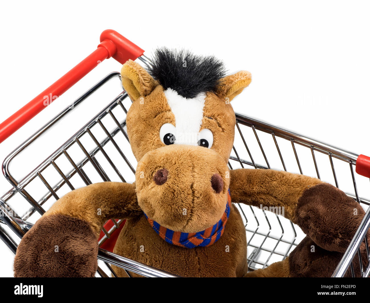 Chevaux à vendre Banque D'Images