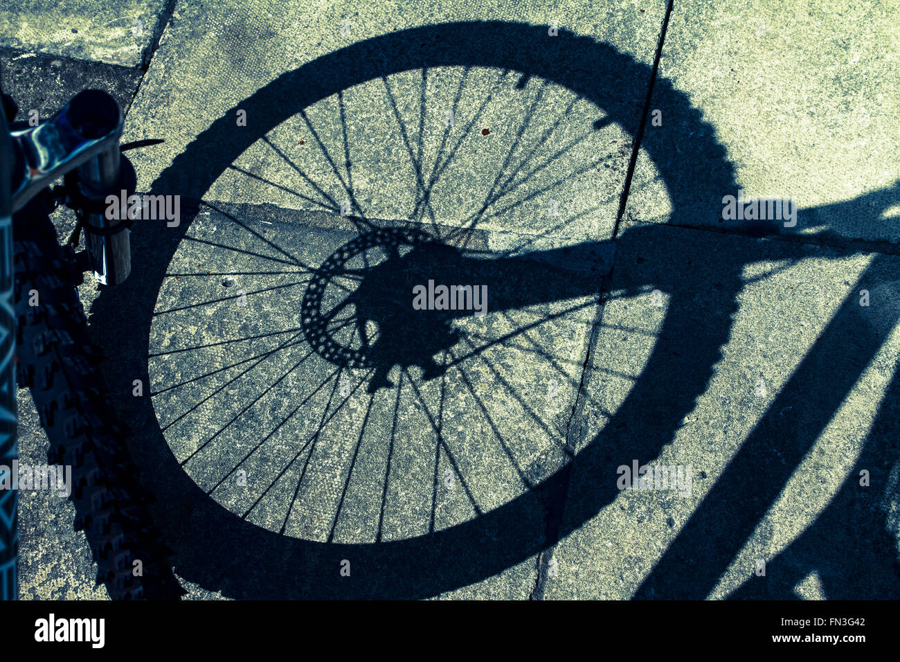 Ombre d'une roue de vélo sur un trottoir Banque D'Images