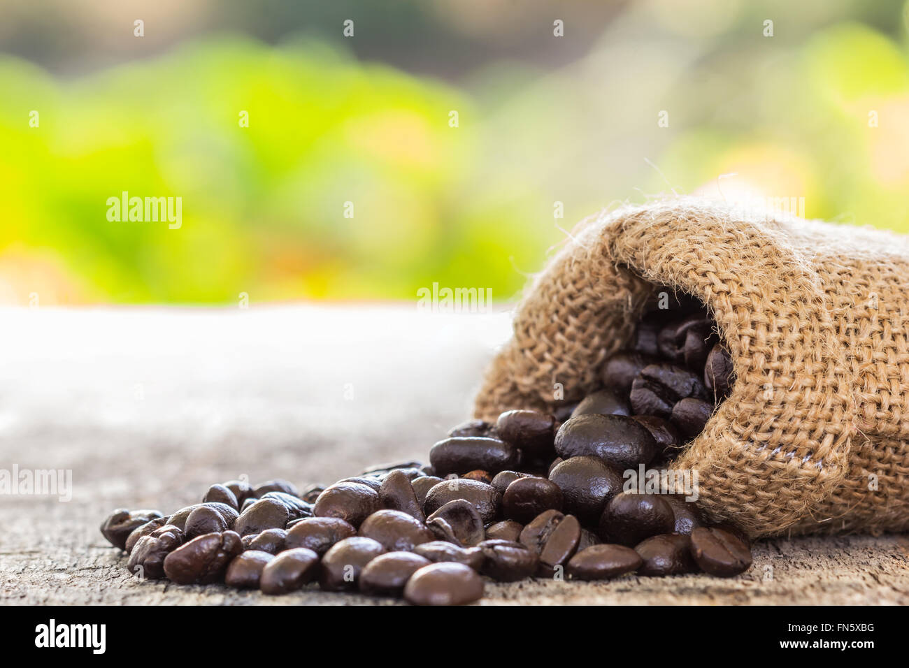 Close up shot verse les grains de café provenant du sac sur la vieille table en bois avec green bokeh background Banque D'Images