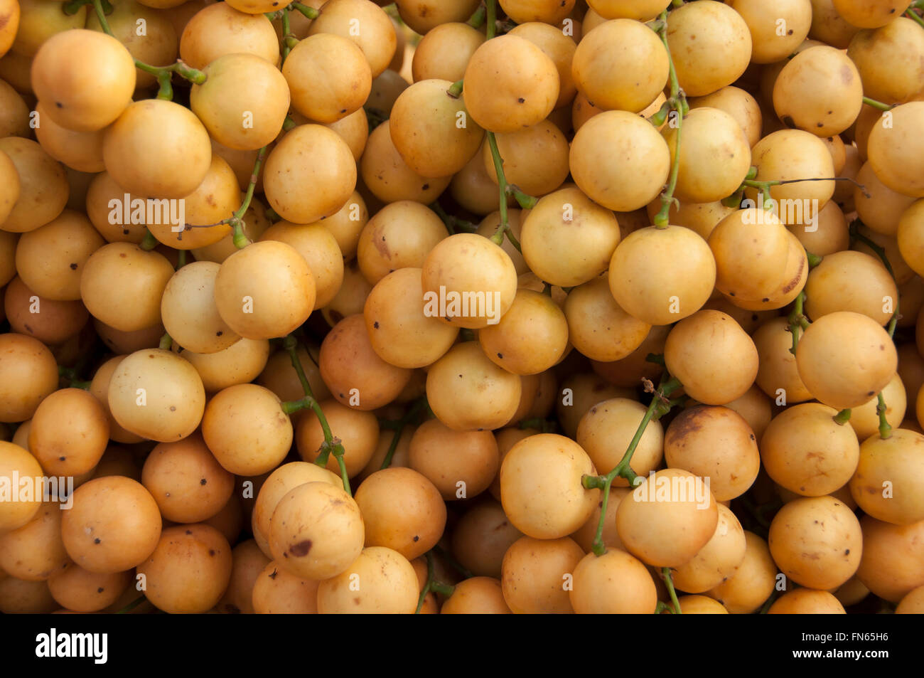 Rambai grape tropical fruit. Banque D'Images