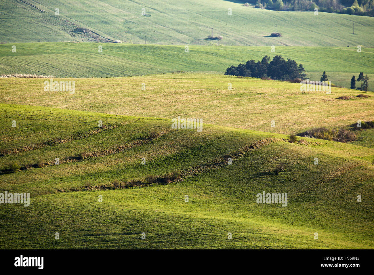 Green spring hills en Slovaquie. Sunny Hill avril campagne Banque D'Images