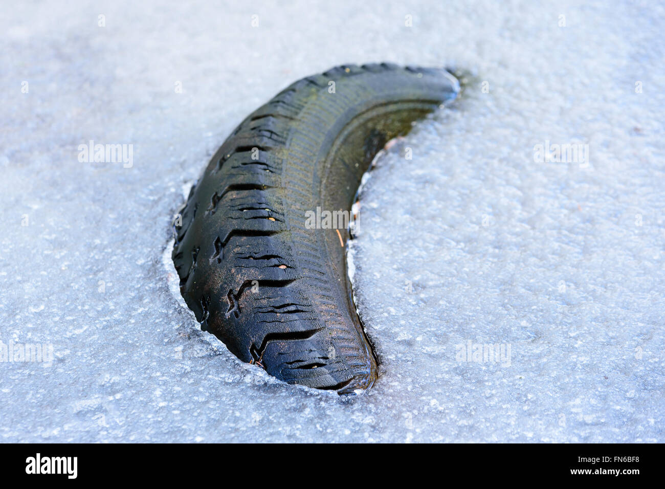 Un vieux pneu de voiture utilisé stick up dans la glace. Caoutchouc est vieux et noueux. Banque D'Images