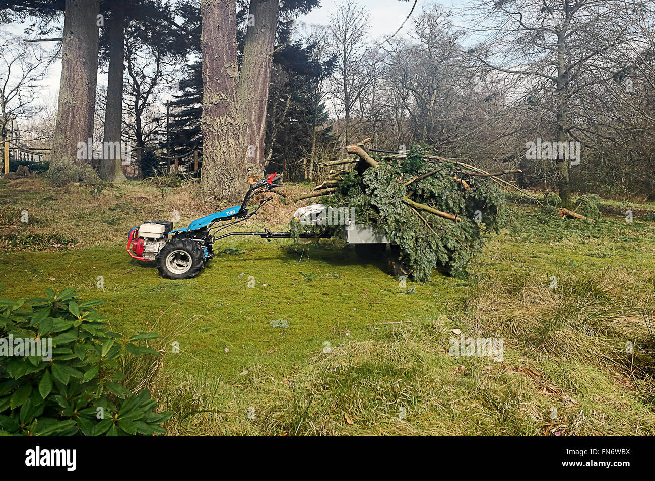 Nettoyage après les dommages causés par le vent.sur les biens immobiliers. Banque D'Images