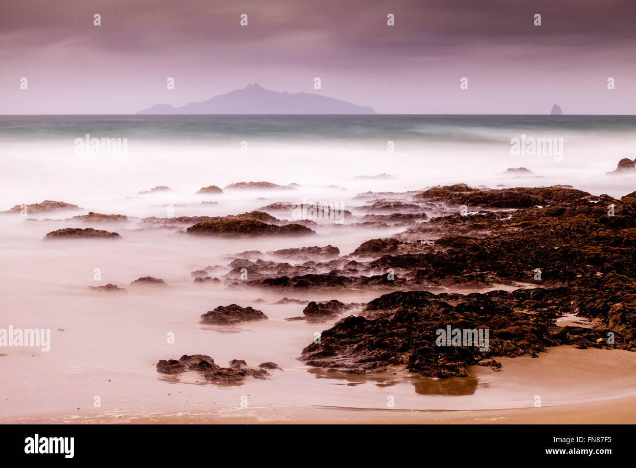 Waipu Cove, la brème bay, Northland, Nouvelle-Zélande Banque D'Images