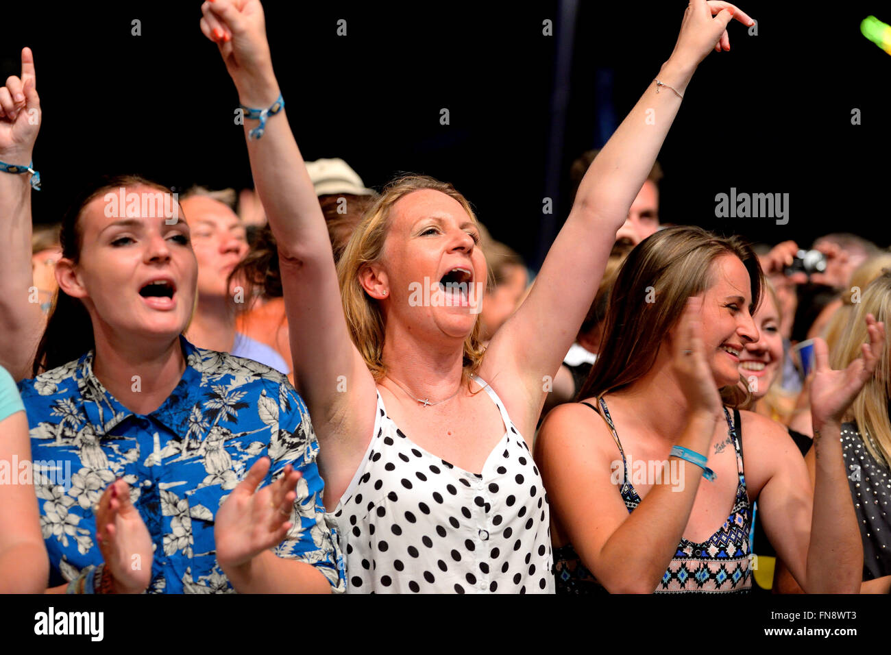 BENICASSIM, ESPAGNE - 19 juillet : foule lors d'un concert au Festival de Musique le 19 juillet 2014 à Benicassim, Espagne. Banque D'Images