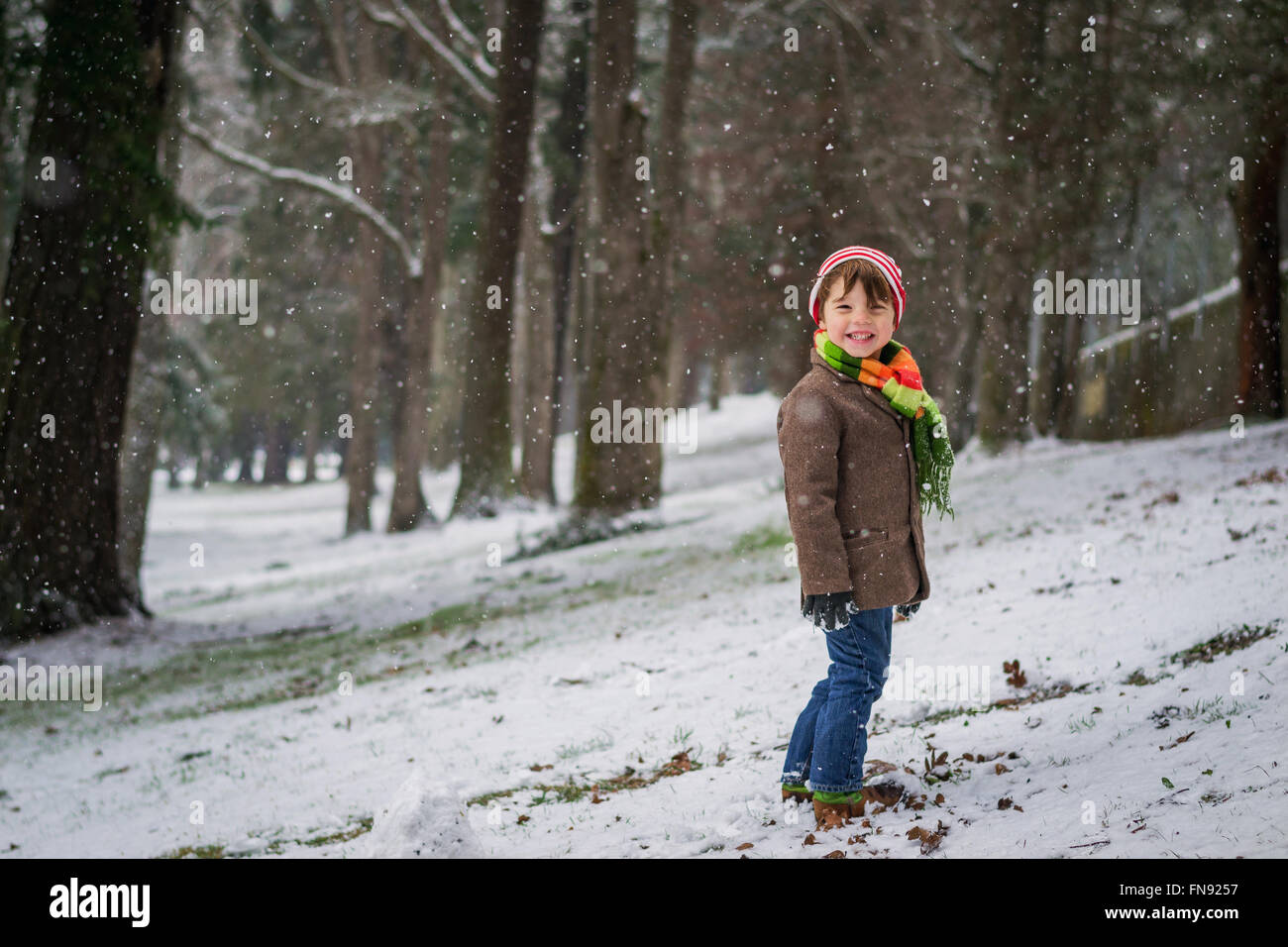 Smiling boy standing in forest Banque D'Images