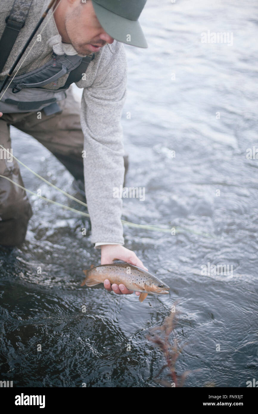 Un pêcheur tenant un petit poisson sur la surface de l'eau. Banque D'Images