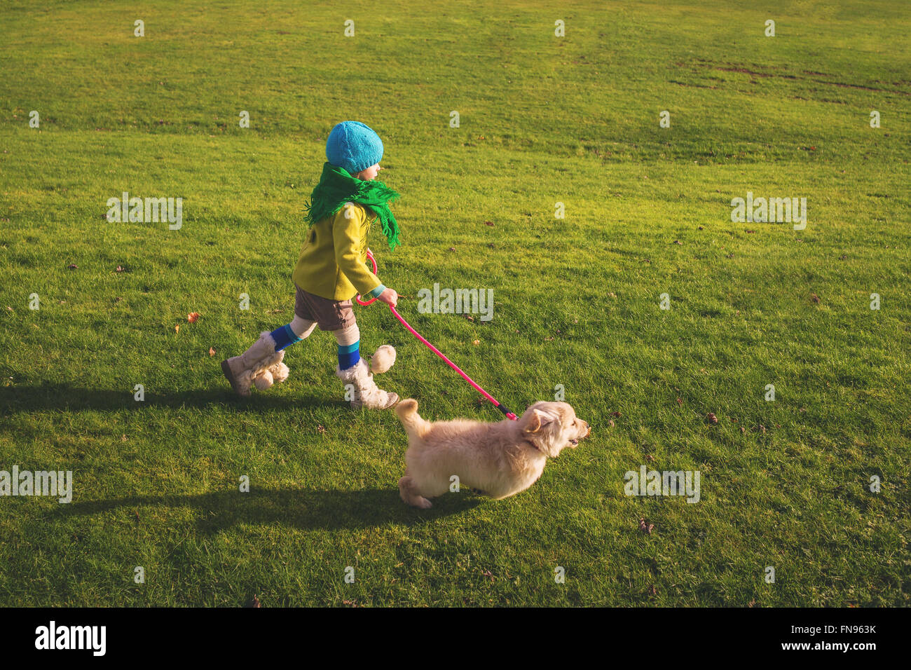 Girl taking chiot golden retriever chien Banque D'Images