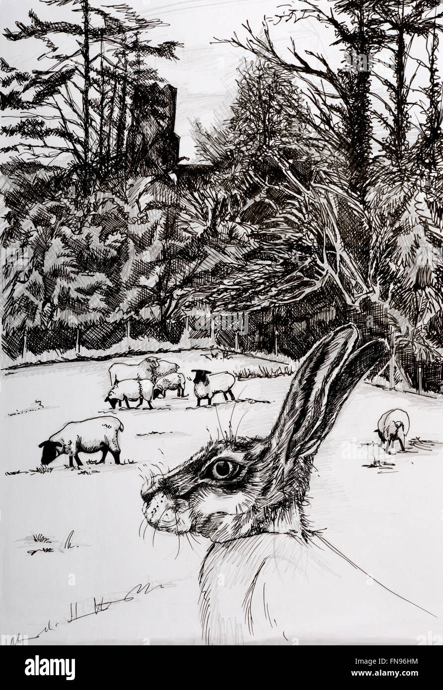 Le Lièvre de Mars et de moutons, Iken, Suffolk, un dessin à l'encre par l'artiste Susie Hammond. Banque D'Images