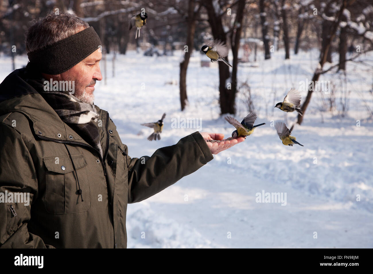 L'homme de nourrir un oiseau en hiver, Bulgarie Banque D'Images