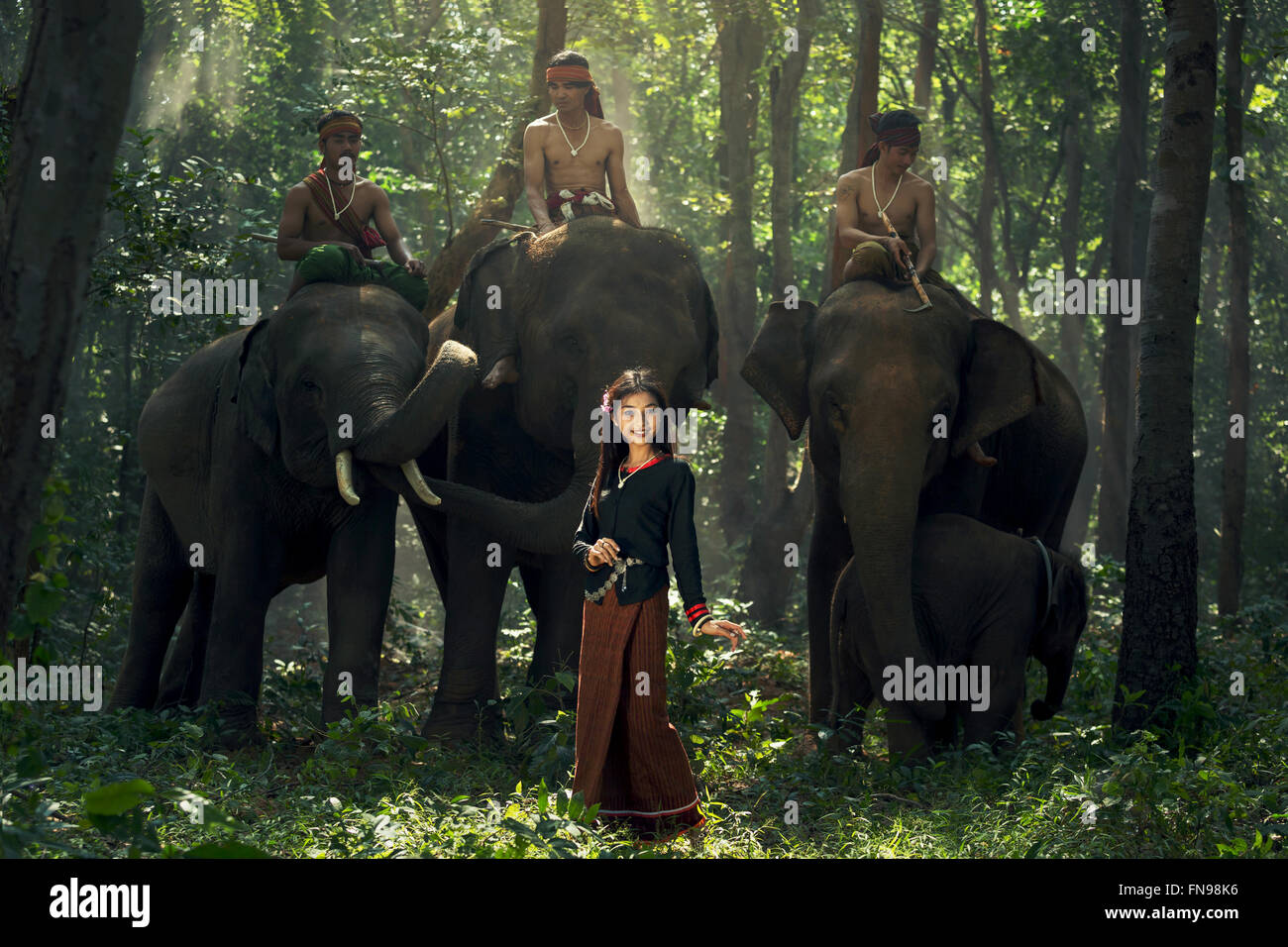 Jeune femme avec trois cornacs sur les éléphants, Surin, Thaïlande Banque D'Images