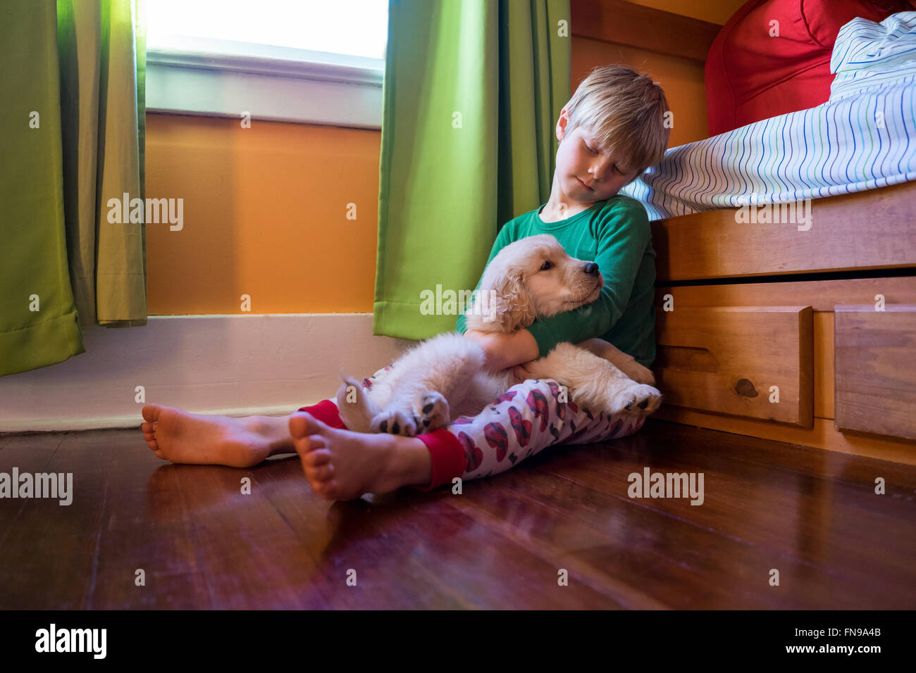 Garçon assis sur le plancher avec chiot golden retriever dog Banque D'Images