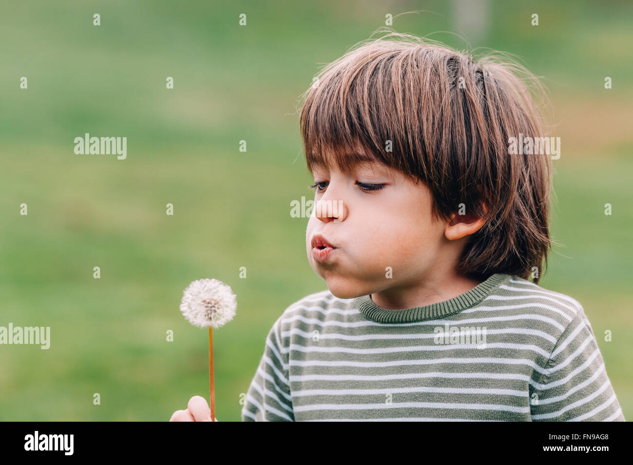 Boy blowing dandelion Banque D'Images