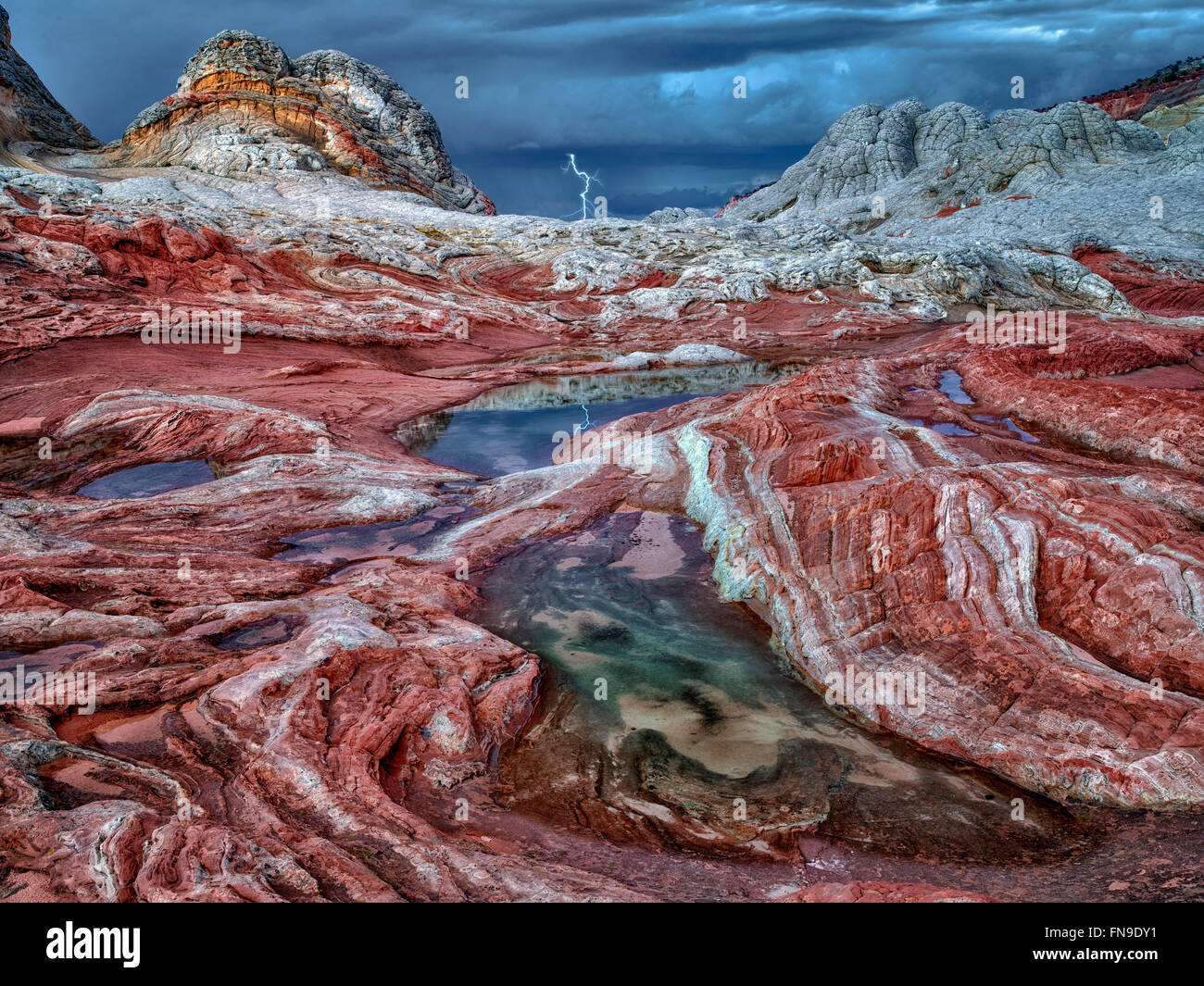 Pocket blanc avec l'eau de pluie piscines. Vermilion Cliffs National Monument, Arizona Banque D'Images