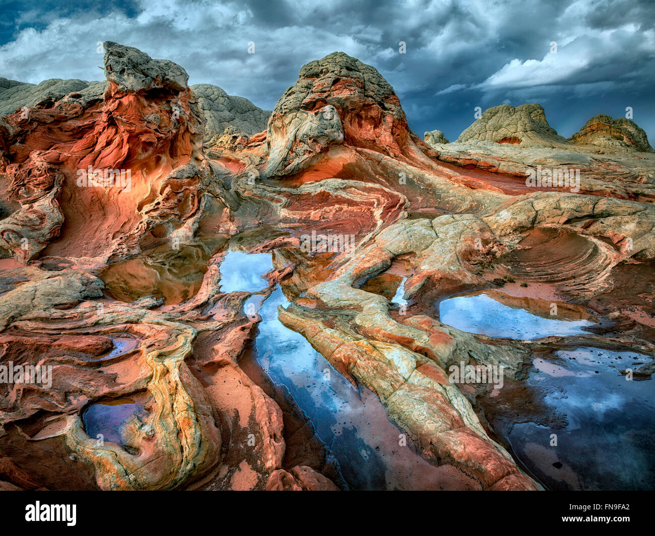 Pocket blanc avec l'eau de pluie piscines. Vermilion Cliffs National Monument, Arizona Banque D'Images