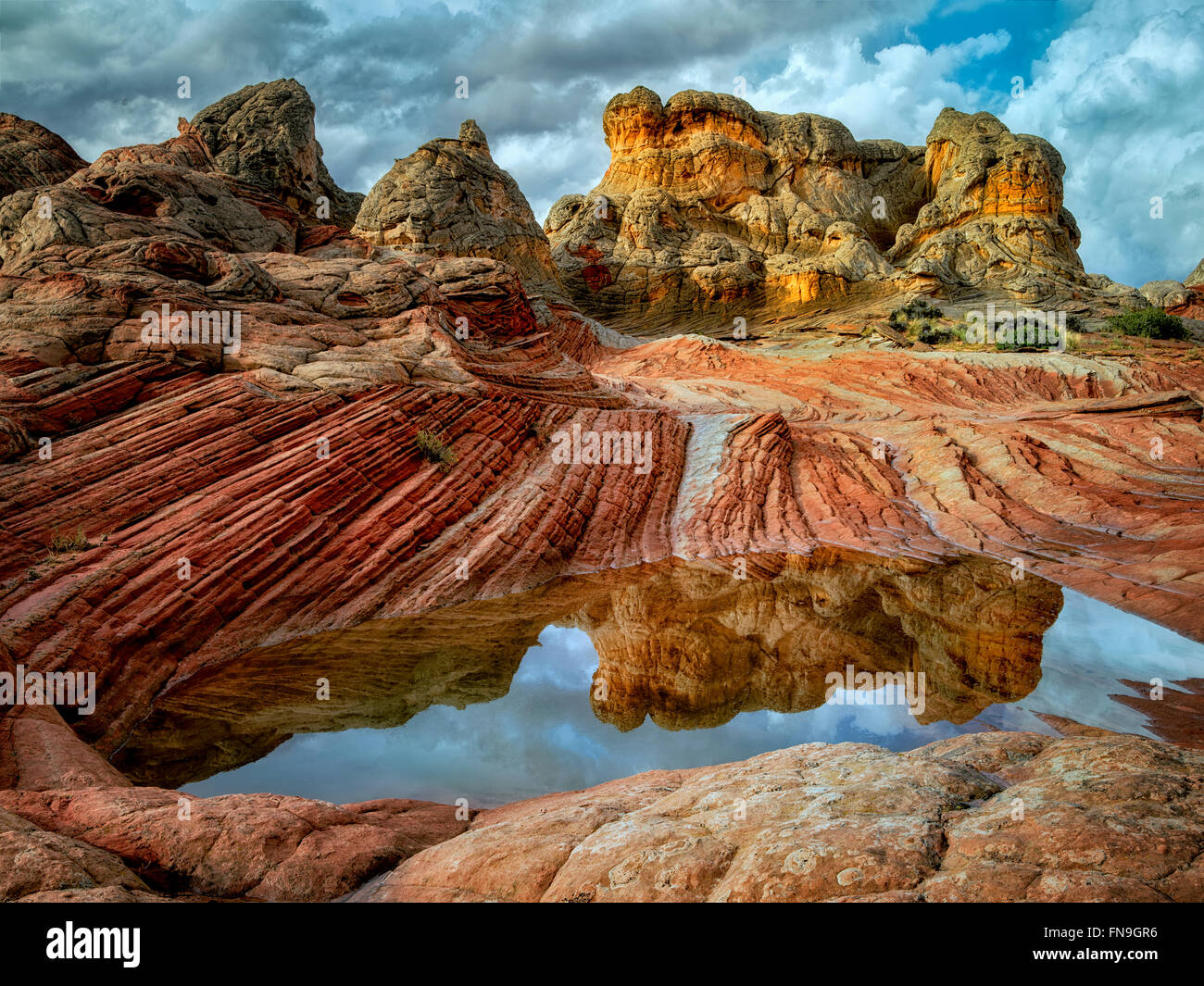 Pocket blanc avec l'eau de pluie piscines. Vermilion Cliffs National Monument, Arizona Banque D'Images
