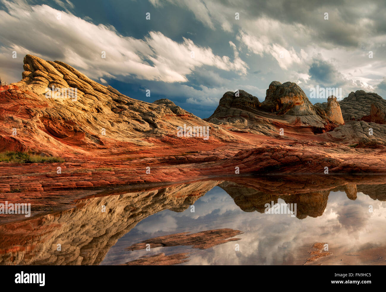Pocket blanc avec l'eau de pluie piscines. Vermilion Cliffs National Monument, Arizona Banque D'Images