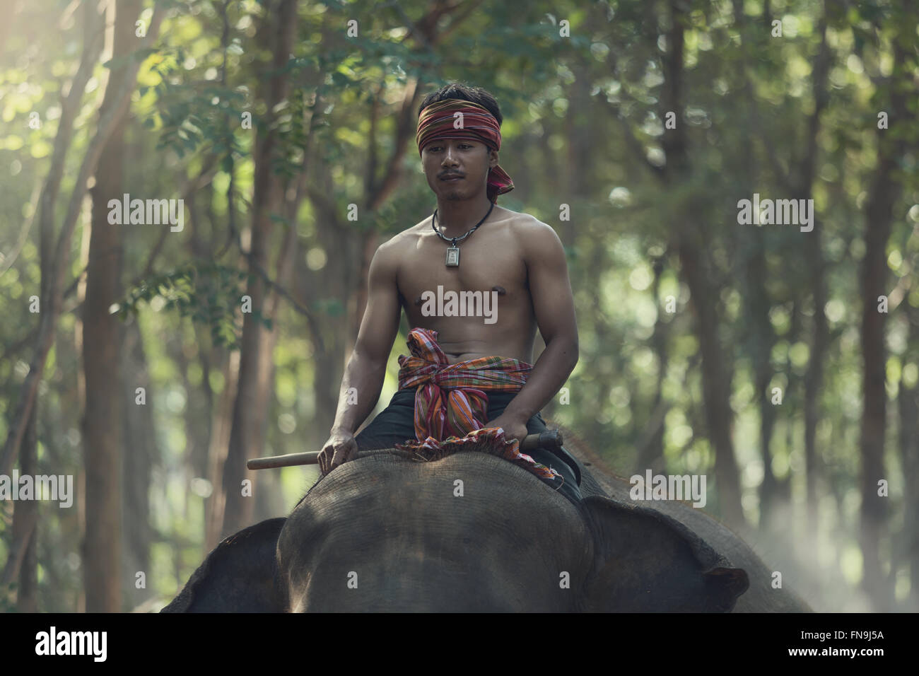 Mahout équitation un éléphant Banque D'Images