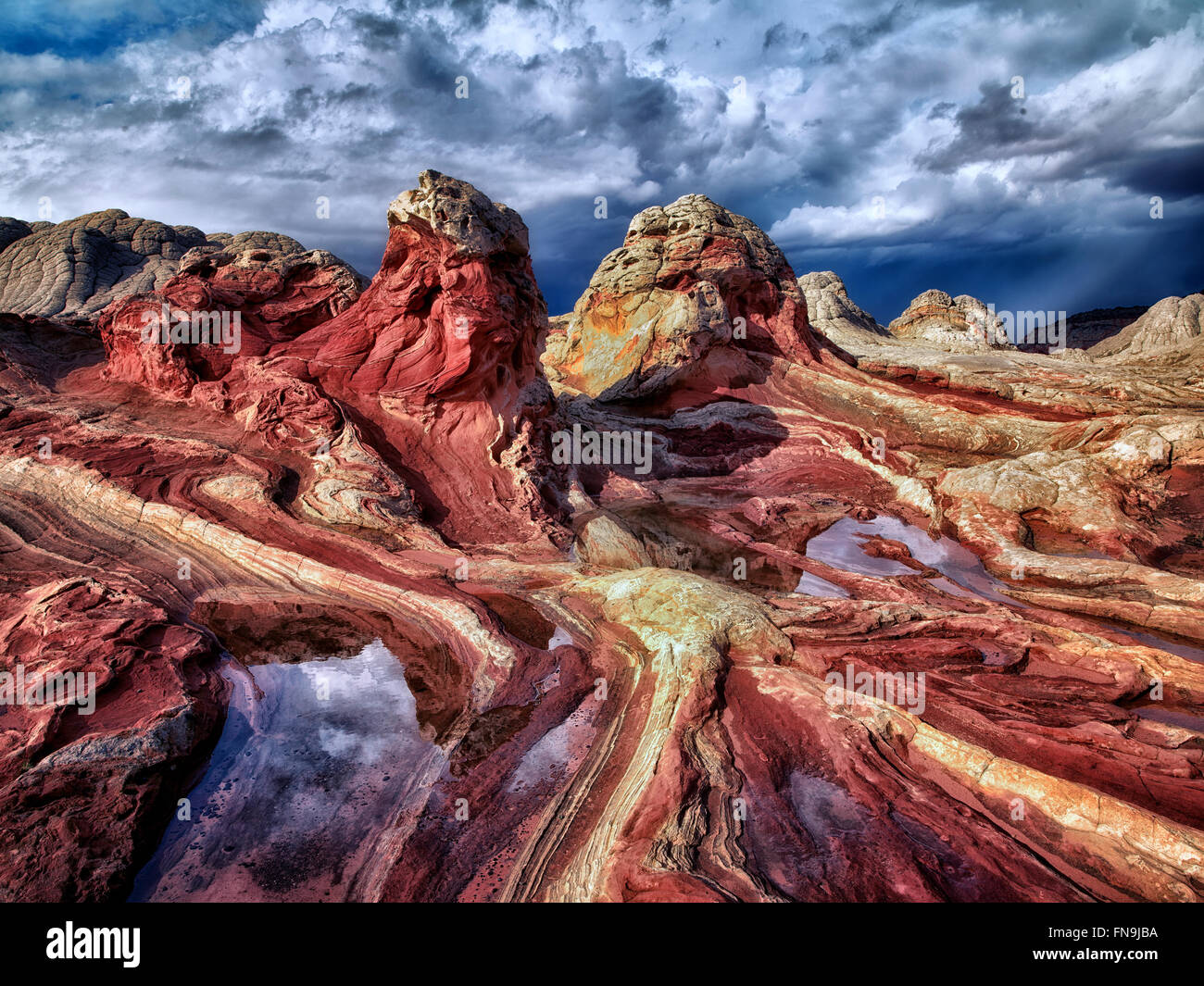 Pocket blanc avec l'eau de pluie piscines. Vermilion Cliffs National Monument, Arizona Banque D'Images