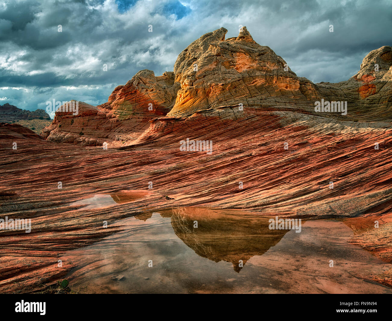 Pocket blanc avec l'eau de pluie piscines. Vermilion Cliffs National Monument, Arizona Banque D'Images