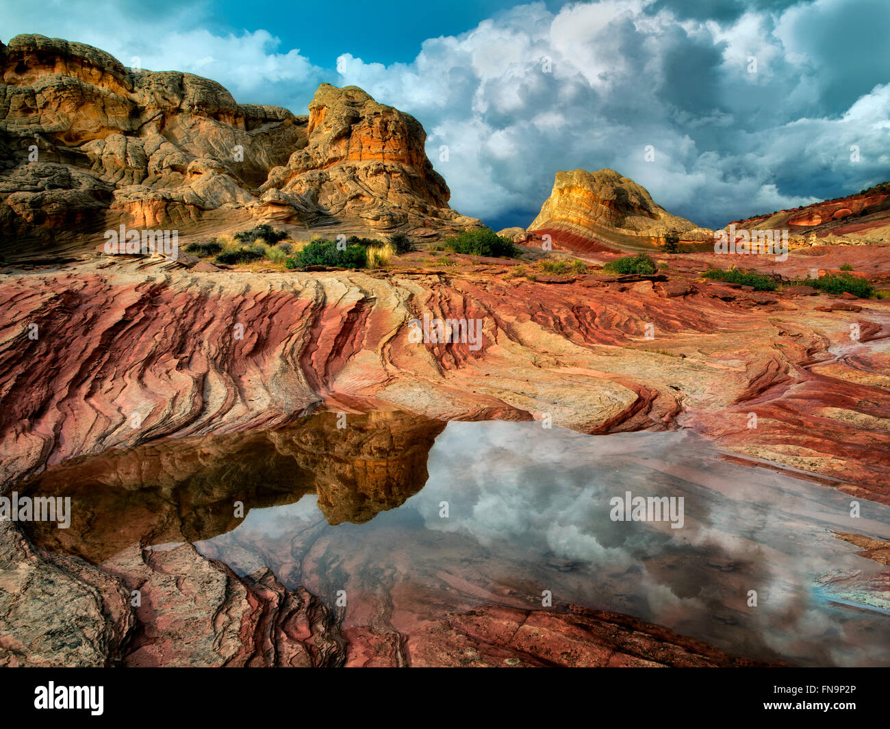 Pocket blanc avec l'eau de pluie piscines. Vermilion Cliffs National Monument, Arizona Banque D'Images