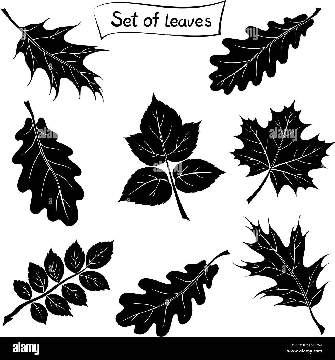 Les feuilles des plantes ensemble pictogramme Illustration de Vecteur