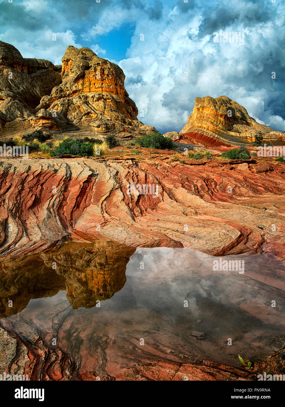 Pocket blanc avec l'eau de pluie piscines. Vermilion Cliffs National Monument, Arizona Banque D'Images