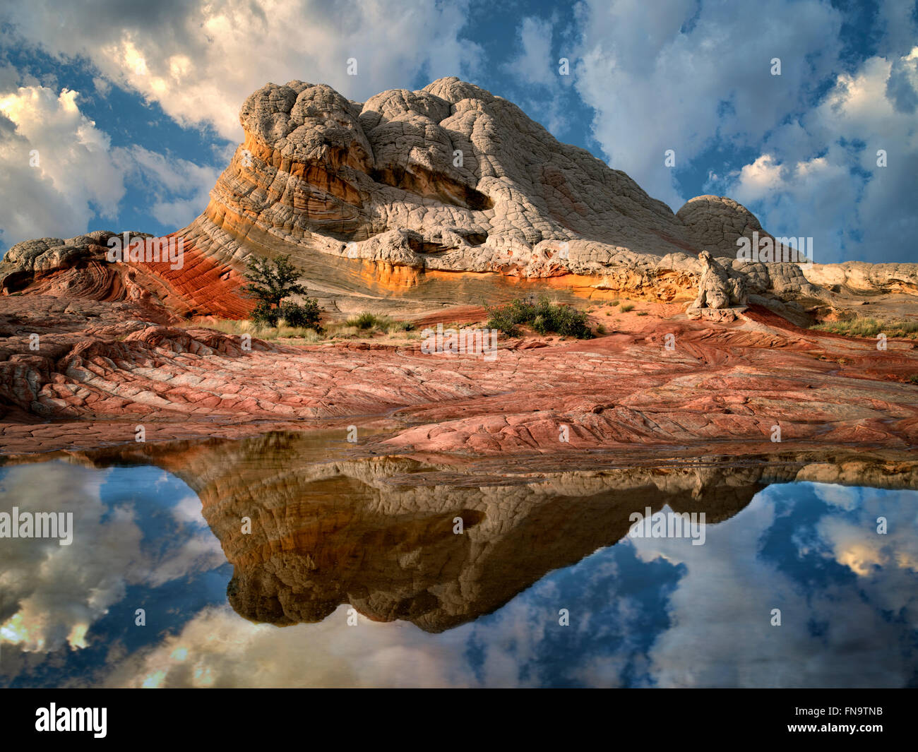 Pocket blanc avec l'eau de pluie piscines. Vermilion Cliffs National Monument, Arizona Banque D'Images