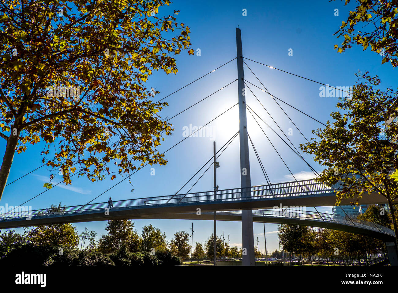 Pont moderne sur Ronda Litoral Avenue au quartier Diagonal Mar, Barcelone, Catalogne, Espagne Banque D'Images