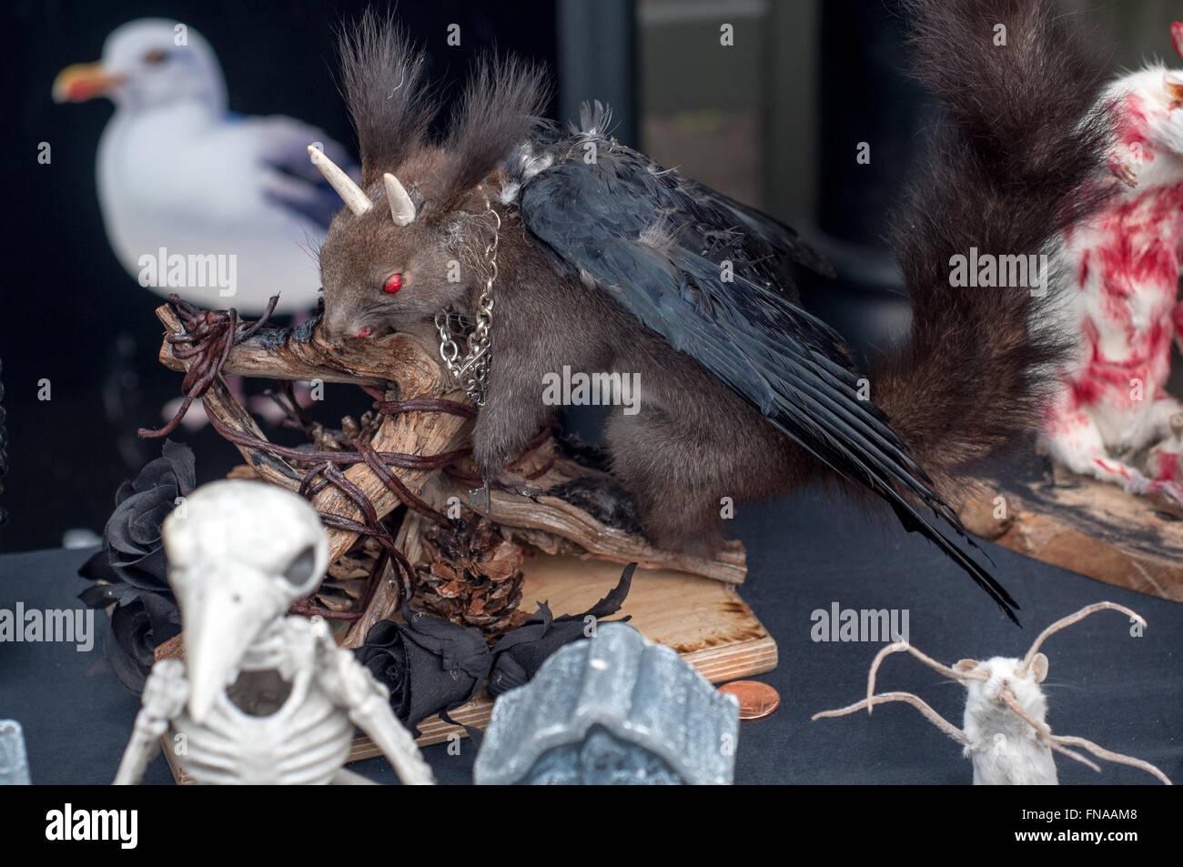 L'écureuil en peluche avec des ailes et des cornes pigeon noir goth rétro décoration à car boot carboot sale in Bath, Royaume-Uni. Banque D'Images
