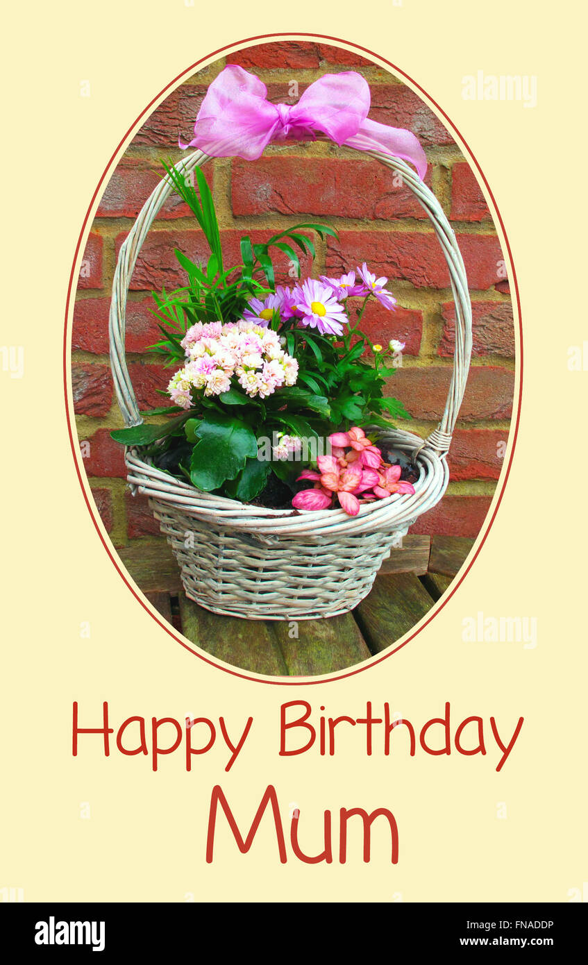 Joyeux anniversaire carte pour maman avec un panier de fleurs Banque D'Images