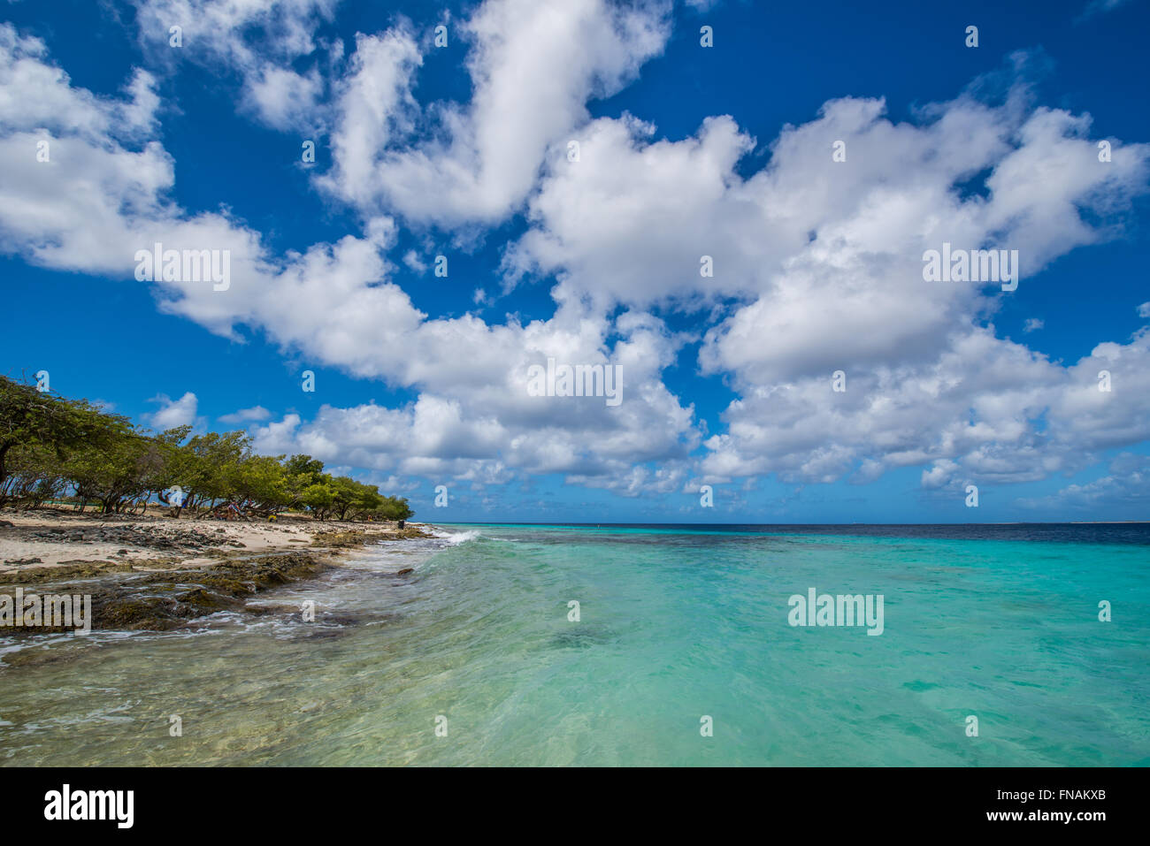 Plages de Bonaire avec les meilleurs sites de plongée et plongée Banque D'Images