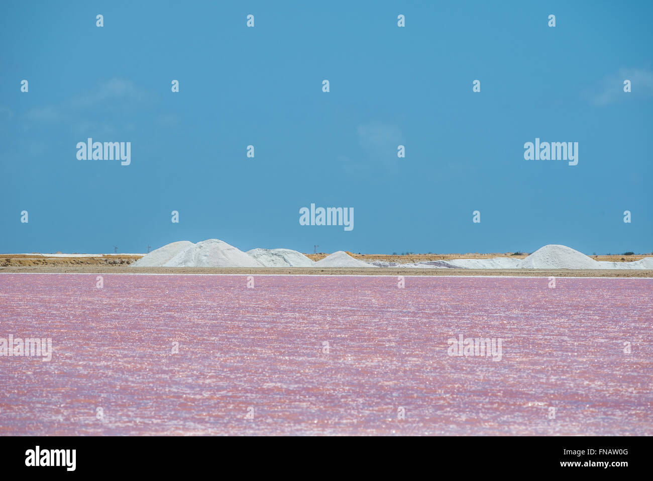 Impression de la célèbre usine de sel de Cargill à Bonaire Island Banque D'Images