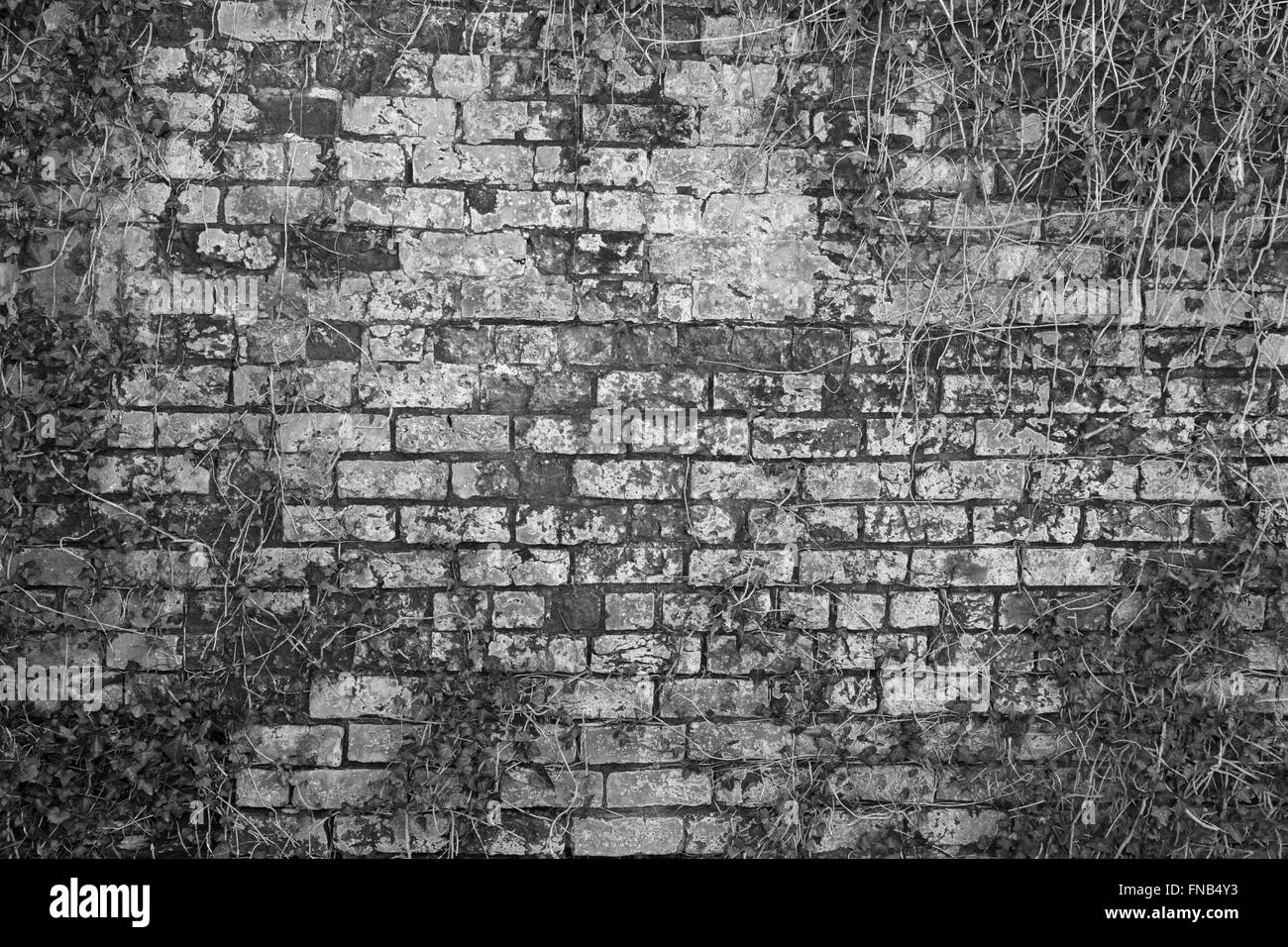 Vieux Mur texture background Banque D'Images