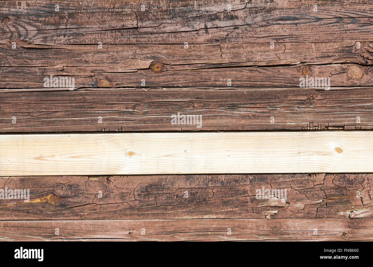 Le bois et la texture de l'arbre ou l'arrière-plan Banque D'Images