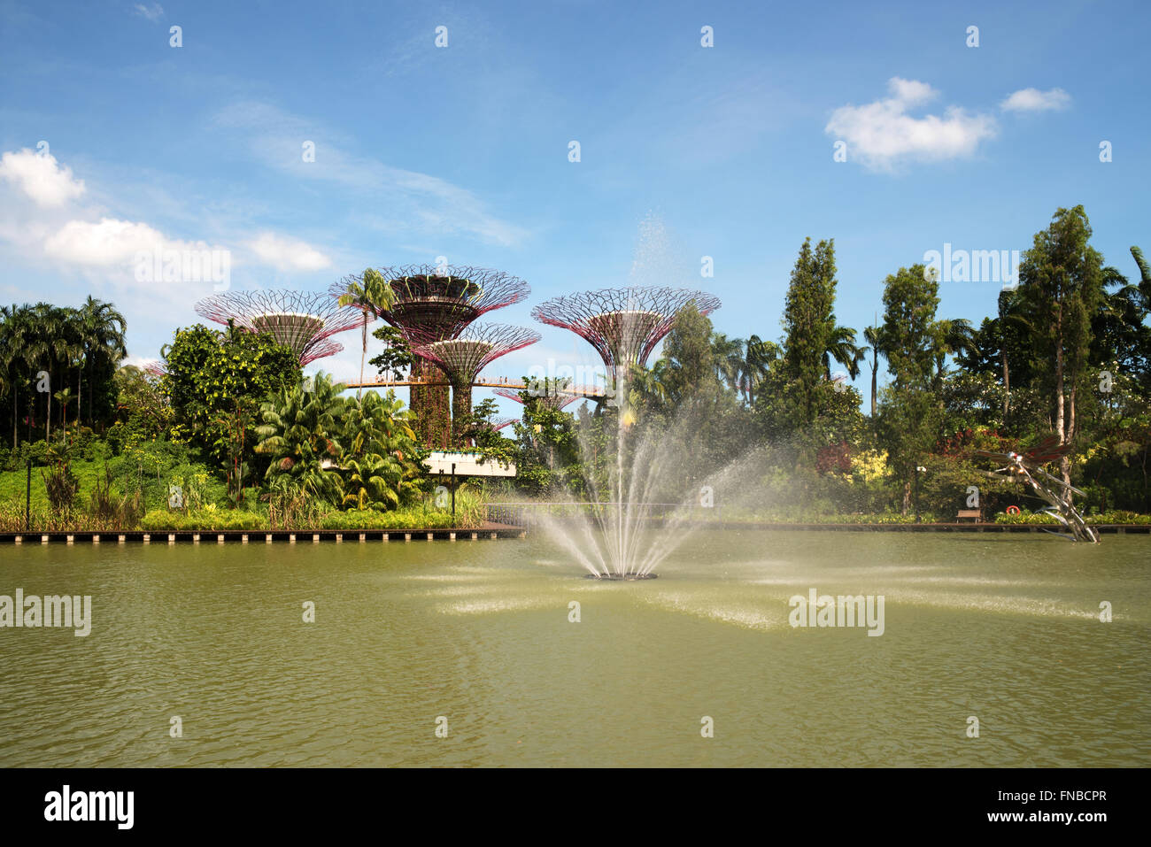 Singapour - Mars 2016,vue sur l'étang avec une fontaine et des jardins de la baie.Editorial.vue horizontale. Banque D'Images