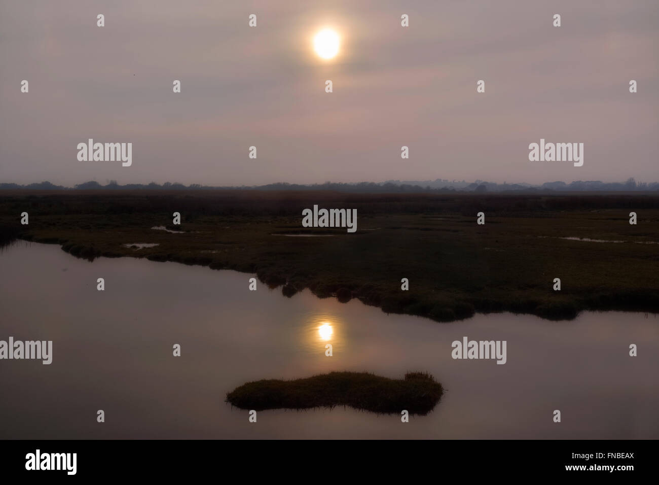 Soleil du soir plus Stanpit Marsh, Christchurch, Dorset, England, UK Banque D'Images